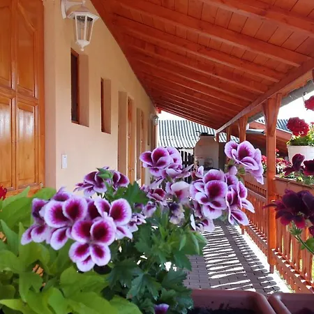 Mátyás Appartement *