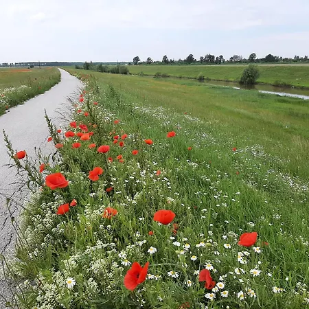 Mátyás * Füzesgyarmat