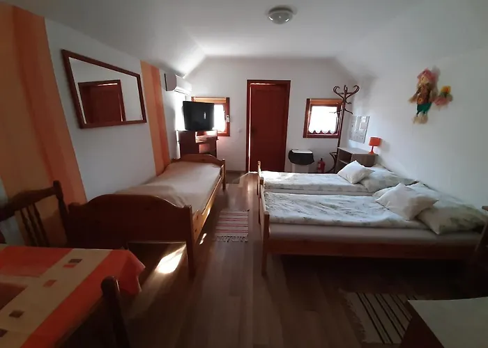 Matyas Vendeghaz Füzesgyarmat